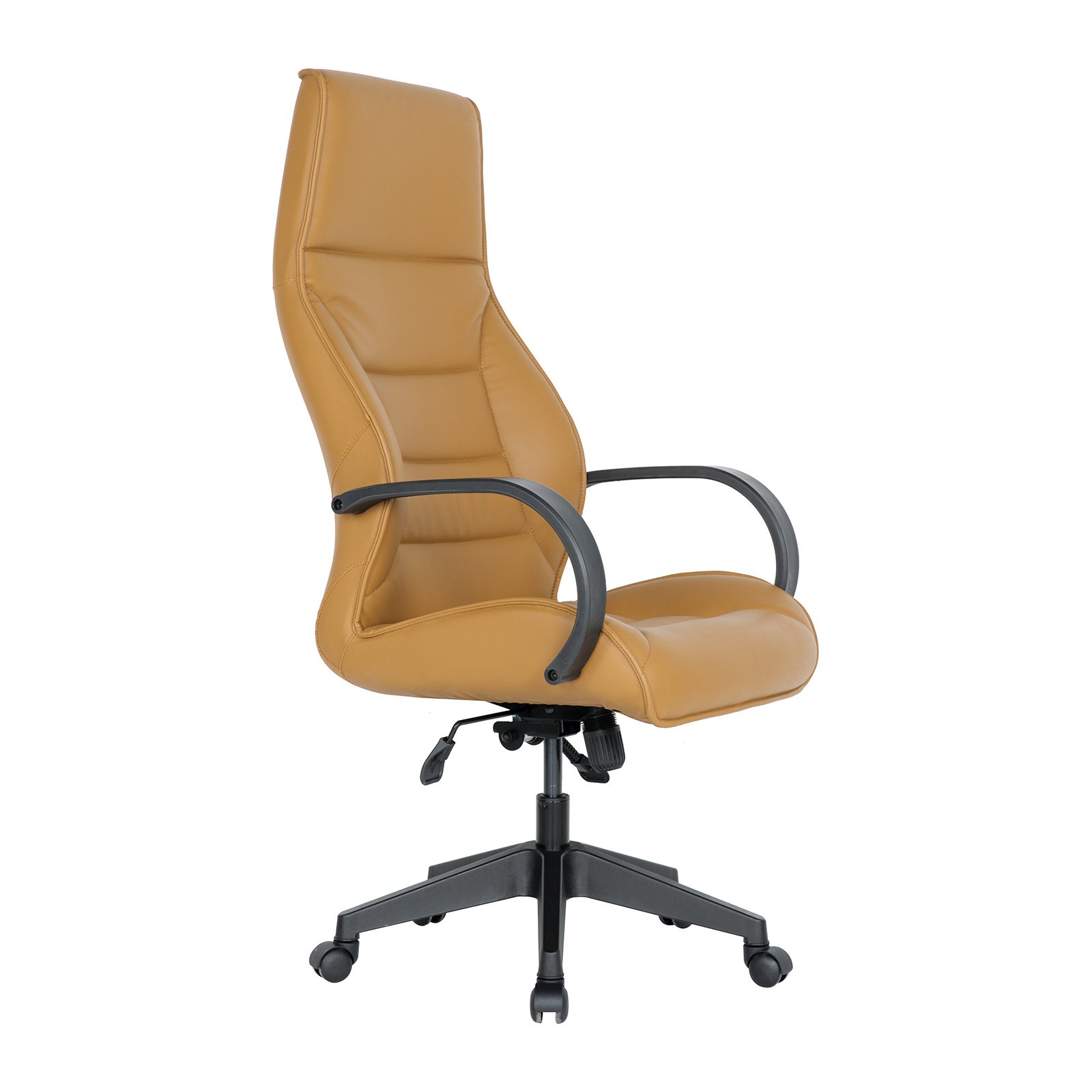 Ares Plastik Kollu Plastik Ayaklı Yönetici Koltukları