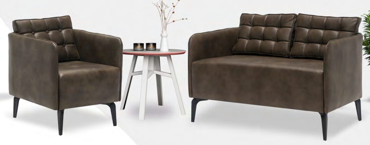 Point Koltuk Takımı