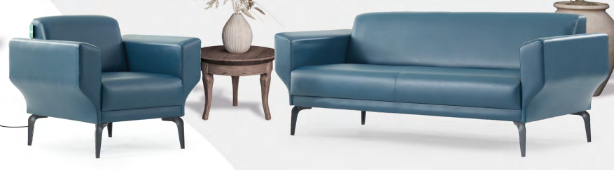 Zahora Koltuk Takımı